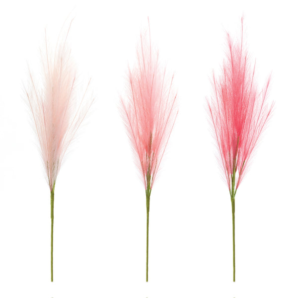 Plume Spray Set of 3 42.5H Tall Fall Pampas Stems