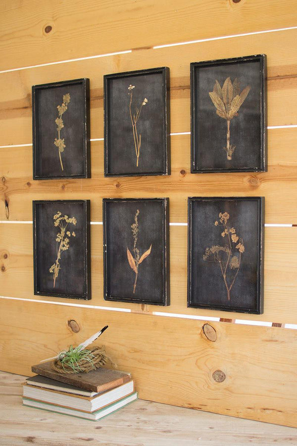 Set of six framed botanical prints under glass in distressed black frames