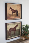 Set of 2 Vintage-Style Horse Prints Under Glass