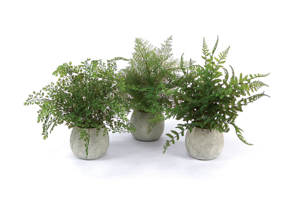 Melrose Raw-Set of 3 Potted Fern Plants in Grey Pot – Faux Botanical Farmhouse Décor
