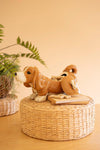 Ceramic Basset Hound Canister – Eclectic Kitchen Storage Décor