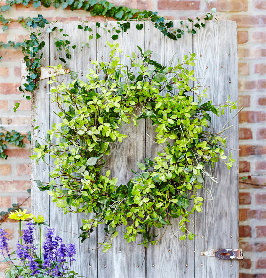 Melrose Raw-30" Oversized Mixed Foliage Wreath – Green Poly Twig Seasonal Décor