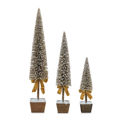 Potted Bottle Brush Pine Trees Set of 3