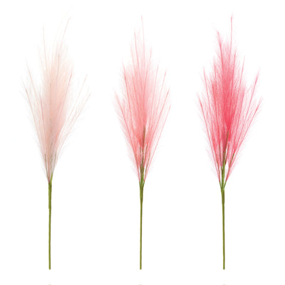 Plume Spray Set of 3 42.5H Tall Fall Pampas Stems