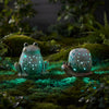 Terra Cotta Frog & Snail Figurines, Set of 2 – Garden Decor