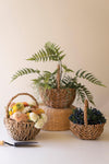 Set of Three Woven Seagrass Baskets with Handles – Natural Farmhouse Storage