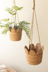 Woven Seagrass Hanging Planter Basket – Boho Plant Hanger