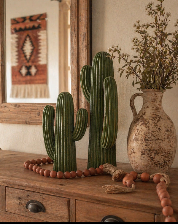 Green Cactus Bundle