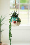Ceramic Hanging Blowfish Planter – Coastal Succulent Hanger