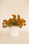 Set of 6 Mustard Artificial Dahlias – Plastic Farmhouse Spring Floral Décor