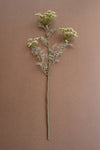 Set of 6 White Artificial Lace Flower Sprays – Farmhouse Botanical Spring Décor