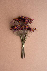 Set of 6 Burgundy Chamomile Stems – Faux Floral Farmhouse Fall Décor