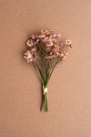 Set of 6 Blush Chamomile Stems – Faux Botanical Spring Arrangement Décor