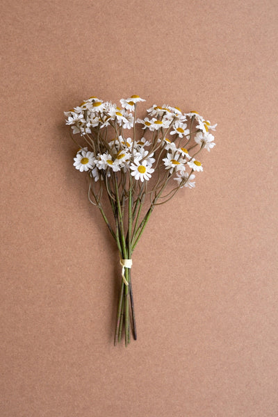 Kalalou Raw-Set of 6 White Chamomile Faux Stems – Farmhouse Floral Spring Décor