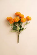 Protea bundle dimensions