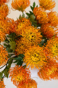 Faux orange protea styled arrangement