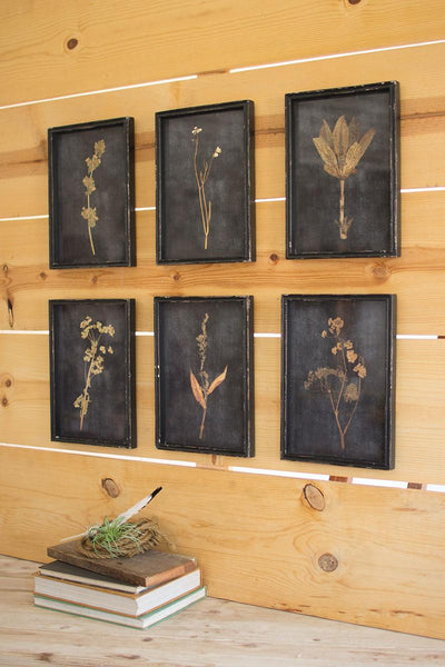 Set of six framed botanical prints under glass in distressed black frames
