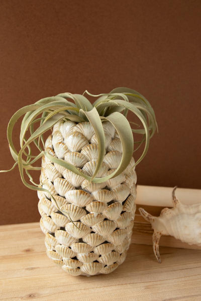 Shell vase styled