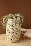 Shell vase styled