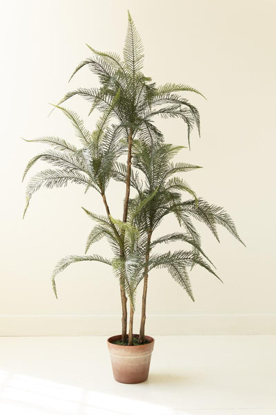 Faux palm styled in room