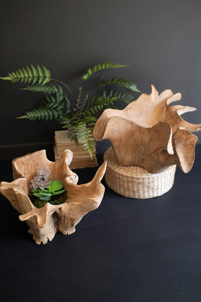 Kalalou Raw-Hand-Carved Teak Root Bowl – Natural Transitional Entryway Décor