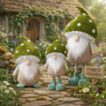 Three garden plush gnomes with green hats and white beards standing on a stone path in a garden setting.