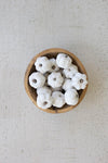 Dried Miniature Faux Pumpkins, Bag of 15 – White Harvest Decor