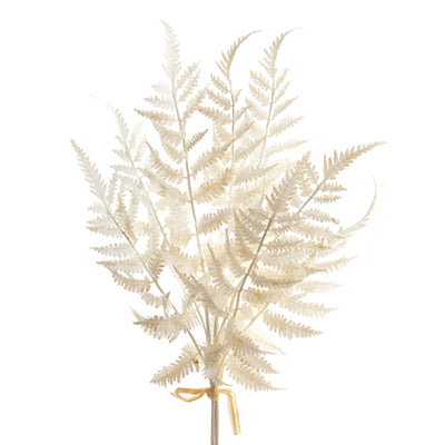 Soft Touch White Fern Bundle — 20" Faux Botanical Stem